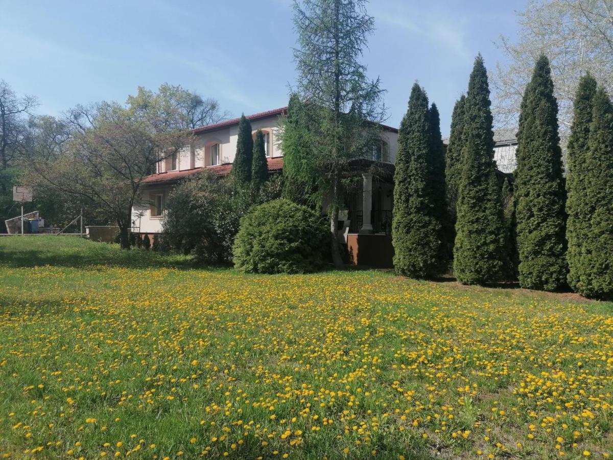 NyíregyházaStaff House住宿加早餐旅馆 外观 照片